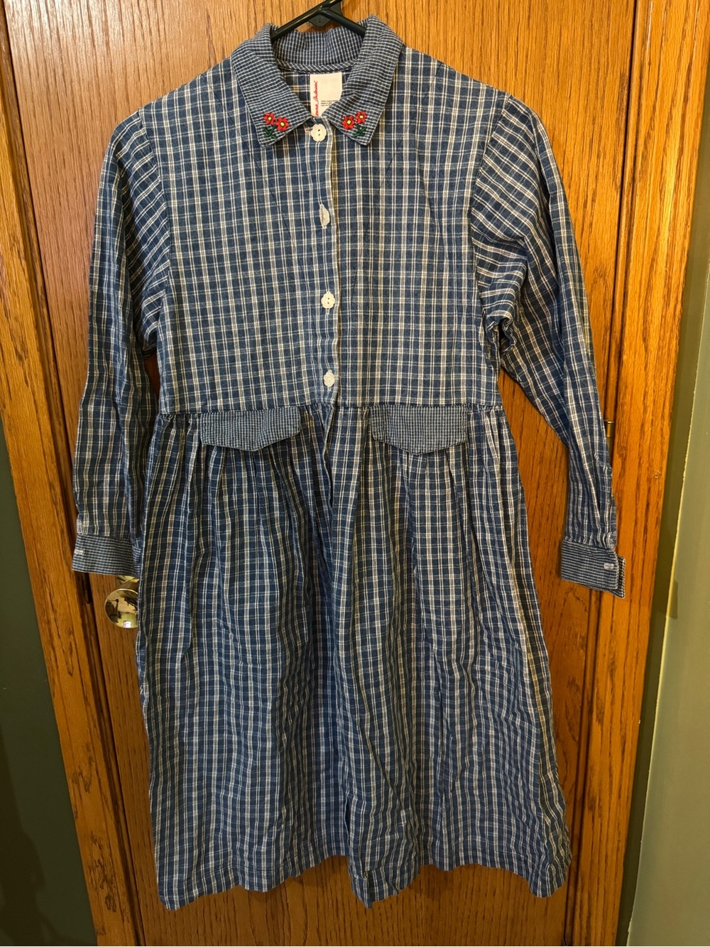 Hanna Andersson Blue Plaid Button-Front Cotton Dress